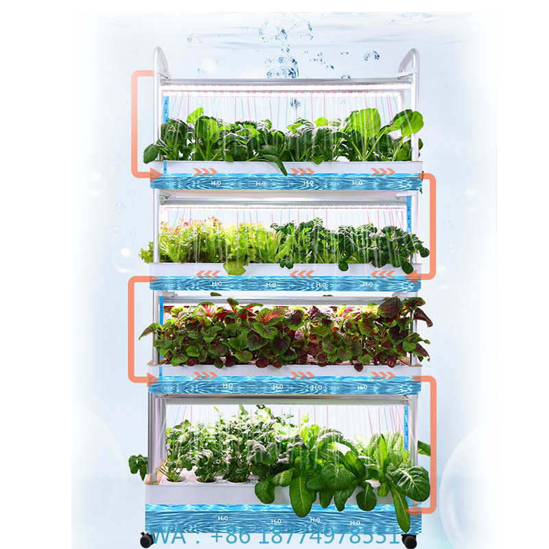 Diy Home Automation System - ydroponic plantsysteem Smart Home Automation-systeem te